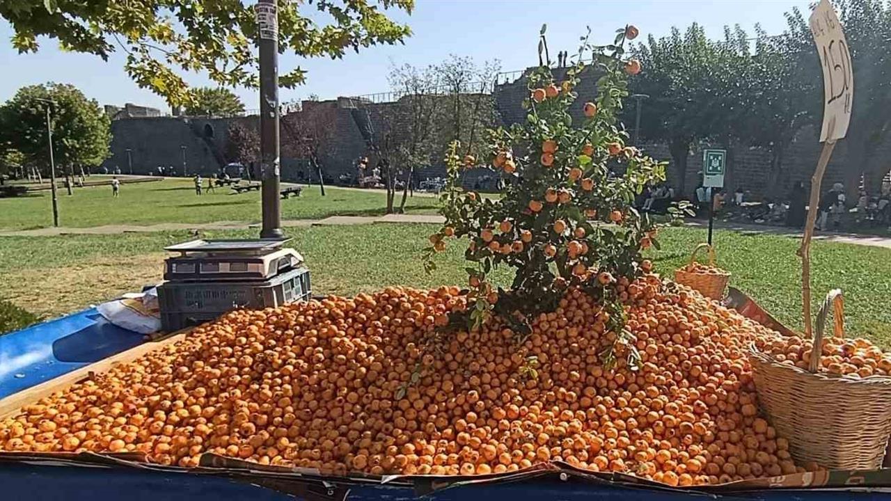 Diyarbakır'da Alıç Meyvesi Tezgahlarda Yerini Aldı