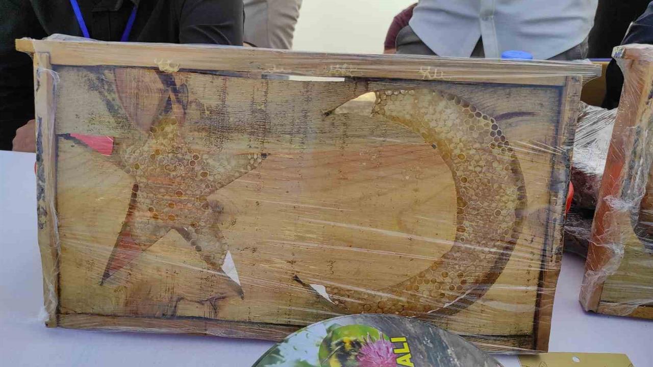 Sason'da Ay Yıldızlı Arı Kovanları İlgi Odağı Oluyor