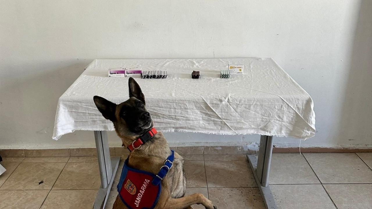 Van'da İran Uyruklu Şahısta 380 Sentetik Hap Ele Geçirildi