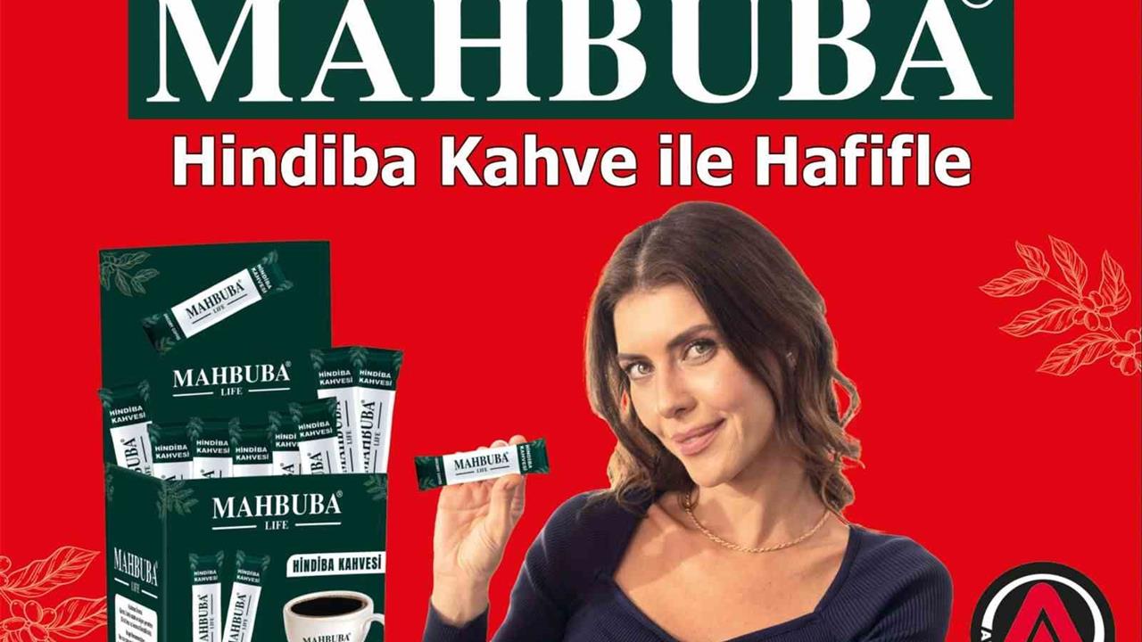 Mahbuba Life, Hindiba Kahvesini Türkiye'ye Getirdi