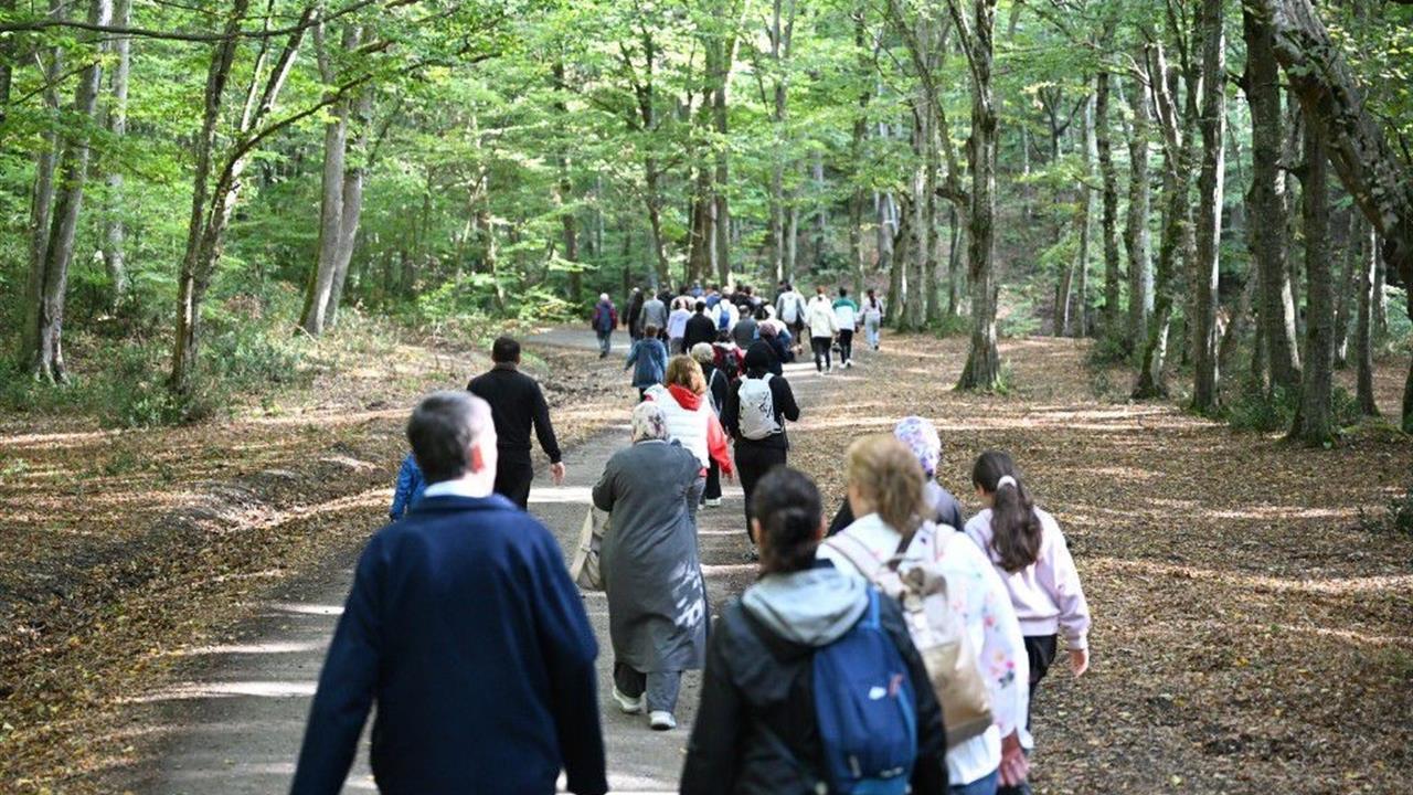 Gaziosmanpaşa'da Dünya Yürüyüş Günü Etkinliği Düzenlendi