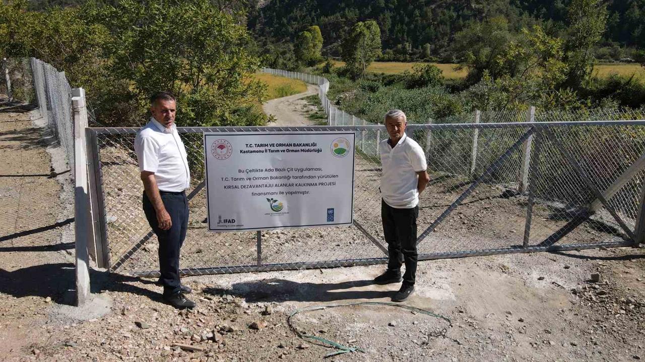 Kastamonu'da Domuzların Talan Ettiği Tarlalar Yeniden Verimli Hale Getirildi