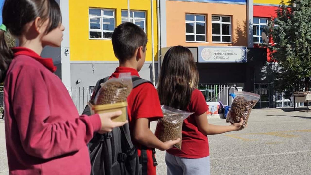 Kızılcahamam'da Öğrencilerden Doğaya Anlamlı Dokunuş