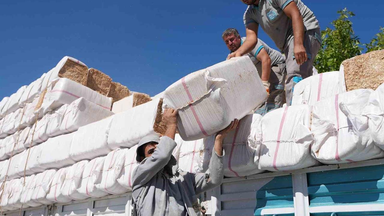 Denizli'de Yangın Mağdurlarına Destek: Yem ve Saman Yardımı