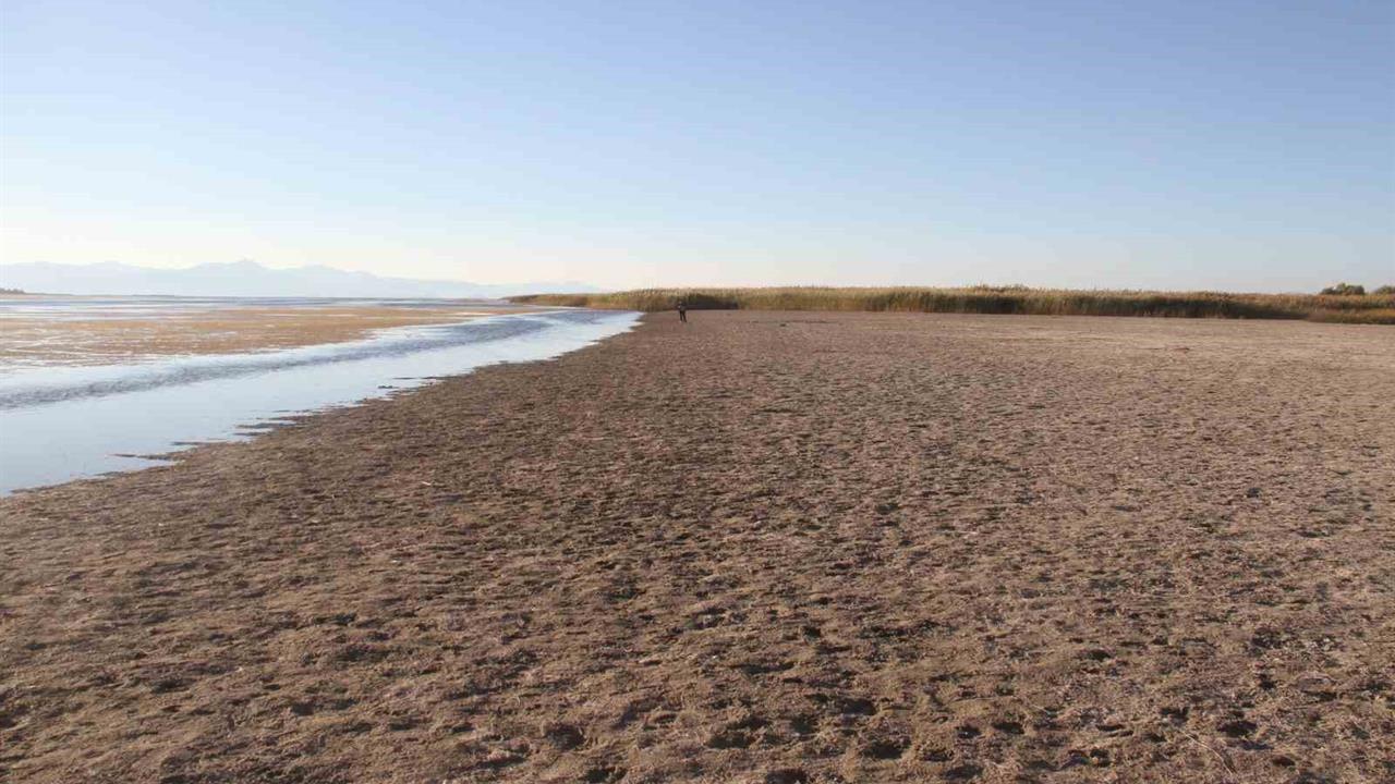 Beyşehir Gölü'nde Su Seviyesi Düşüyor, Yürüyüş Yapılıyor