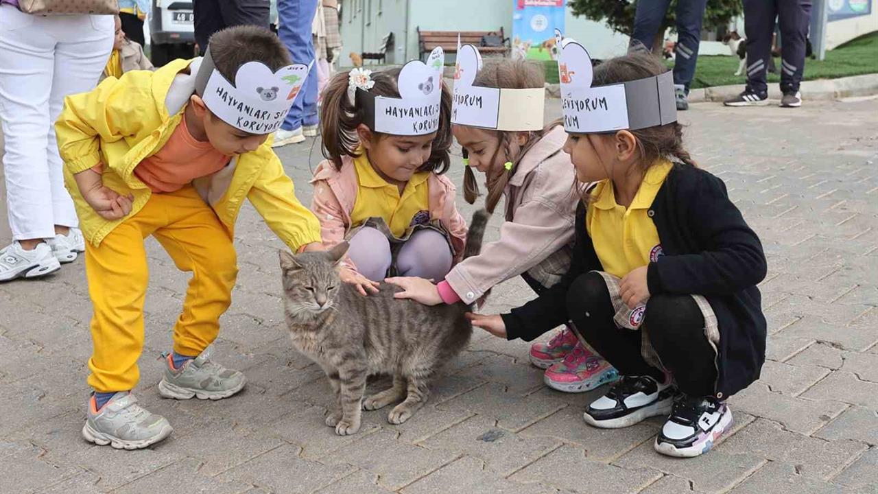 Muğla'da Minik Öğrencilerin Hayvan Bakımevi Ziyareti