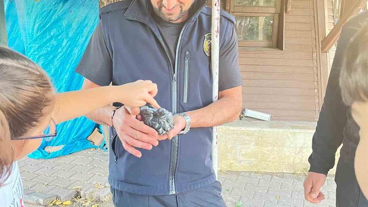 Sivas’ta Kuş Kurtarma Operasyonu: İtfaiye Başarılı Oldu