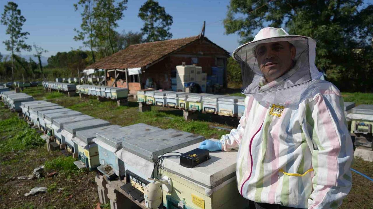 Samsun'da Arıcılığa Yenilik: Yerli Cihaz ile Verim Artışı