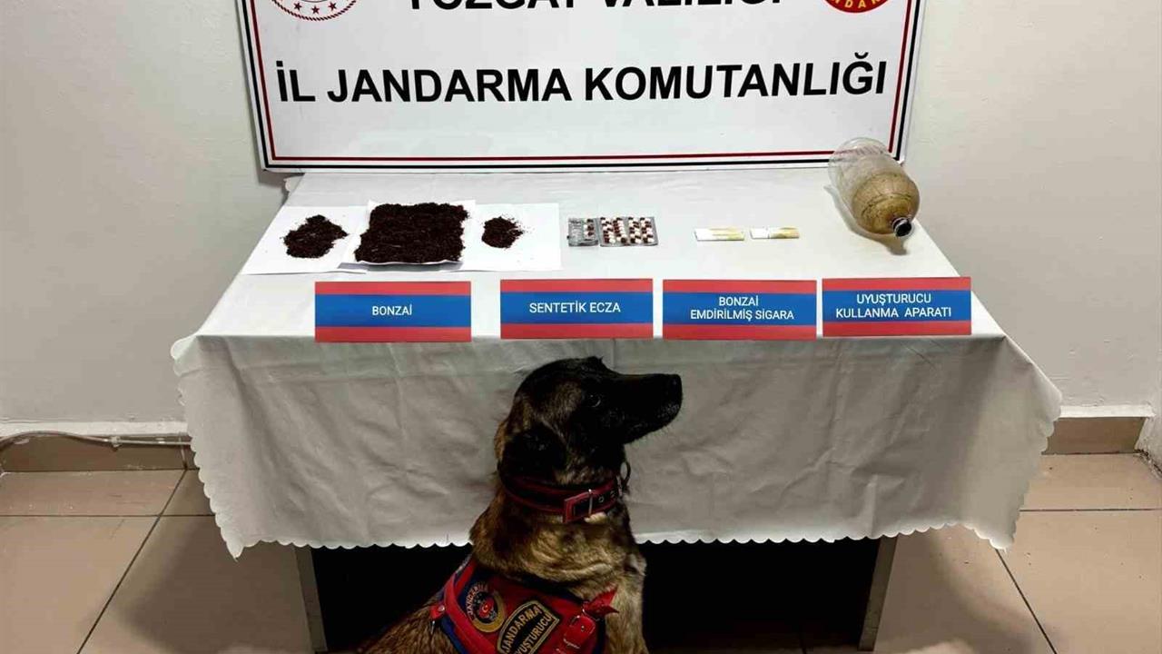 Yozgat'ta Uyuşturucu Operasyonu: 117 Gram Bonzai Ele Geçirildi