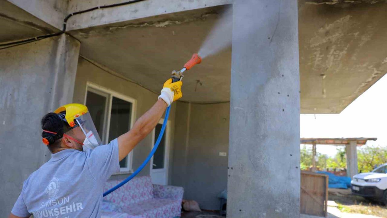 Samsun’da Kahverengi Kokarca ile Mücadele Başladı