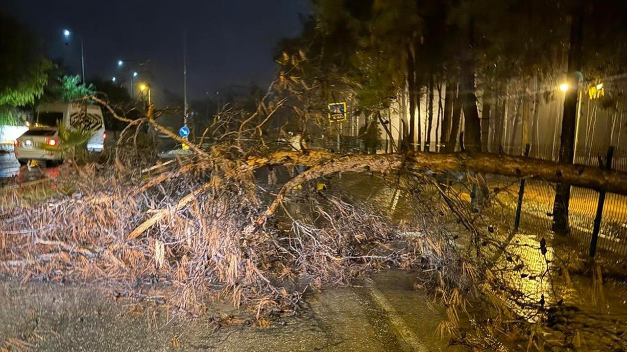 Alanya'da Kış Hazırlıkları: Tedbirler Alındı