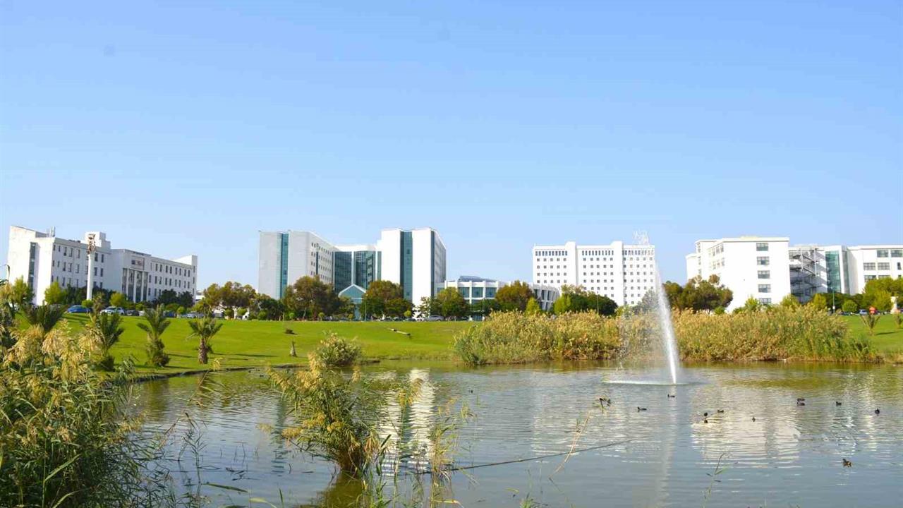 Kuzey Kıbrıs'ta Yeni Virüs Türü Keşfedildi: Alasiavirus