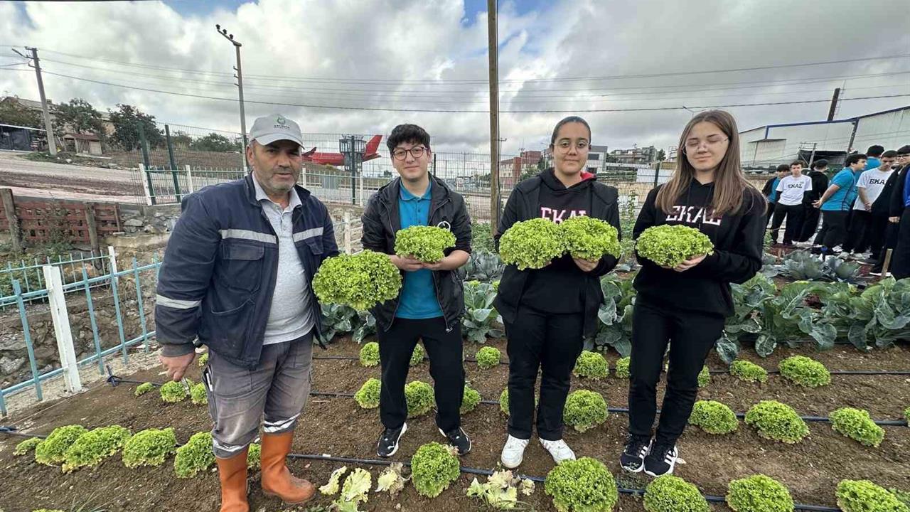Çayırova'da Öğrenciler İlk Hasadı Yaptı