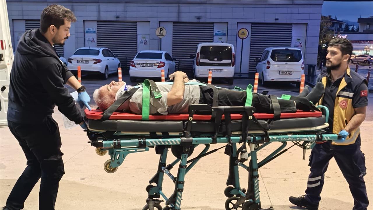 Bursa İnegöl'de Ceviz Ağacından Düşen Adam Ağır Yaralandı