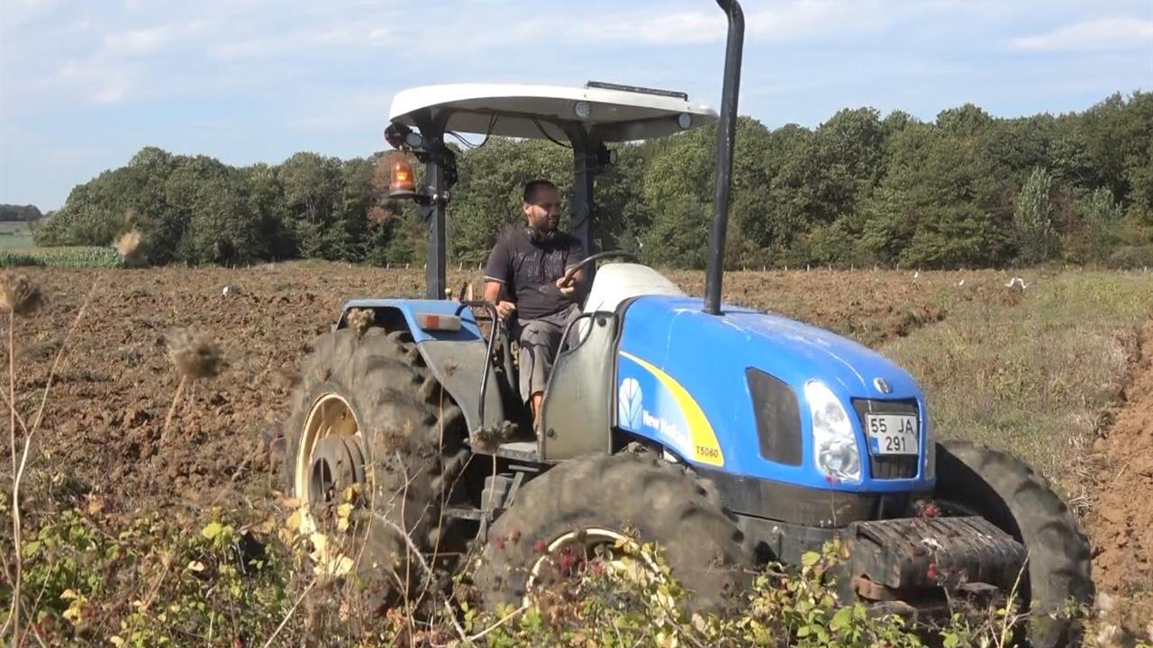 Samsun'da Kışlık Sebze Ekimi Başladı