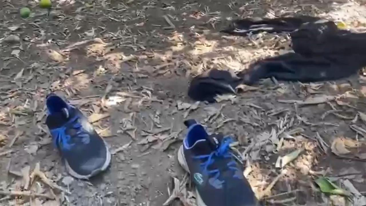 Manavgat'taki Otele Silahlı Saldırı: 5 Gözaltı