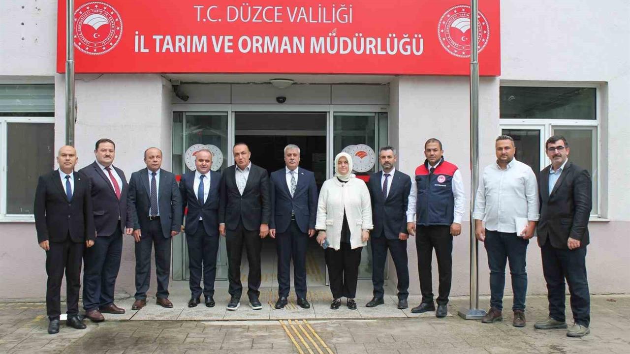 Düzce'de Kahverengi Kokarca Mücadelesi: 2026 Planları Yapıldı