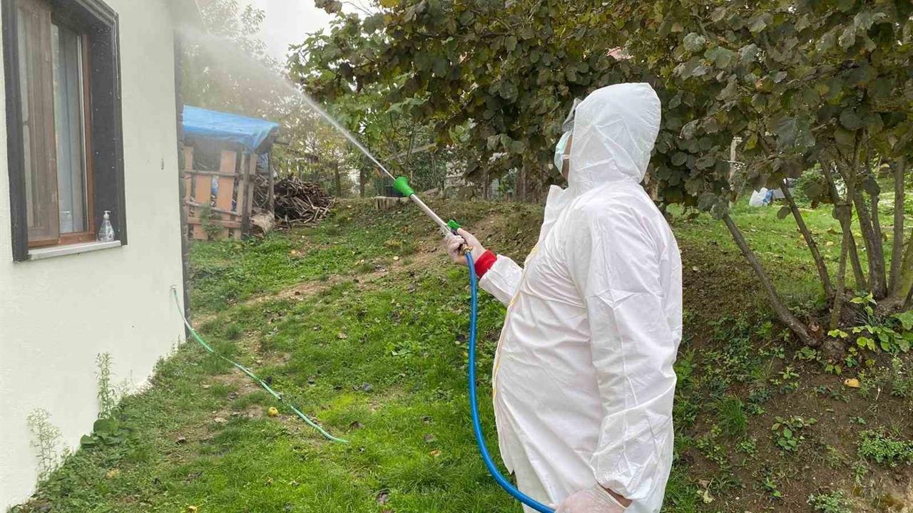 Erenler'de Kokarca Mücadelesi Devam Ediyor