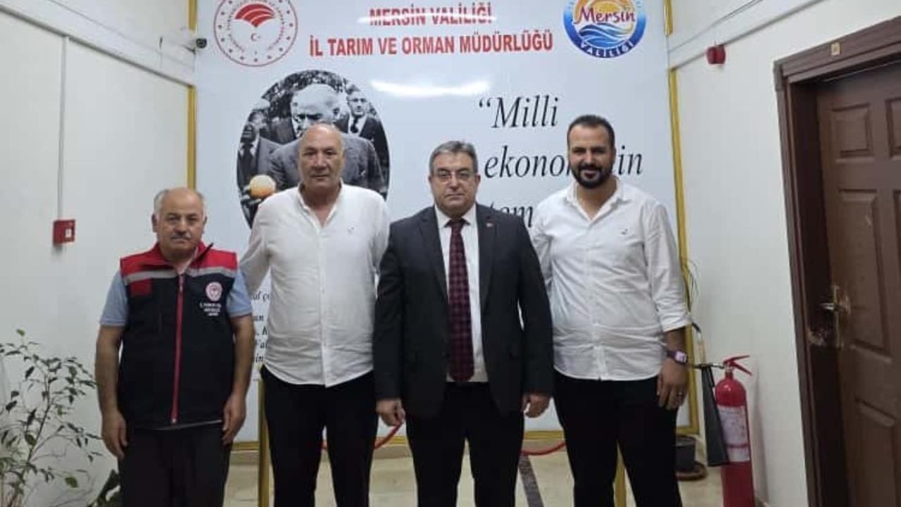 Mersin’de Tarım Yatırımlarından 2 Proje Hibe Kazandı: Hibe Tarsus ve Kazanlı'ya...