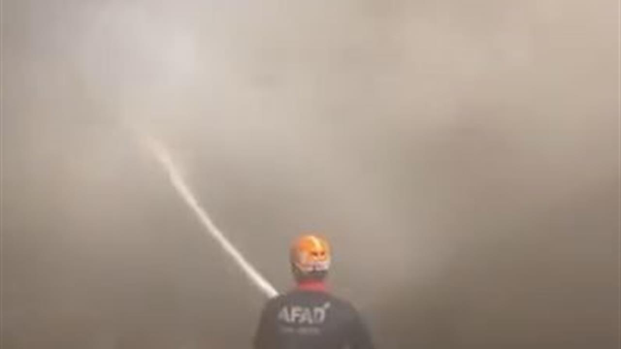 Ardahan'da Ahır Yangını: 23 Hayvan Telef Oldu