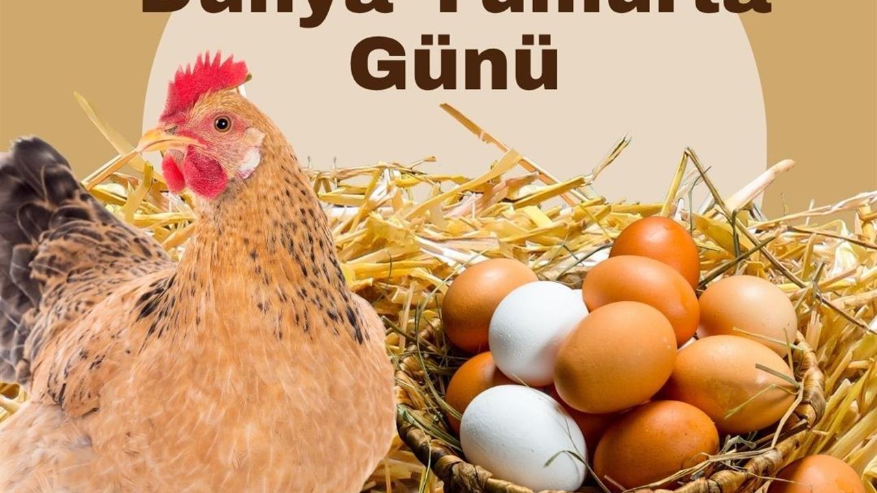 Ankara'da Yumurta Üretiminin Önemi Vurgulandı