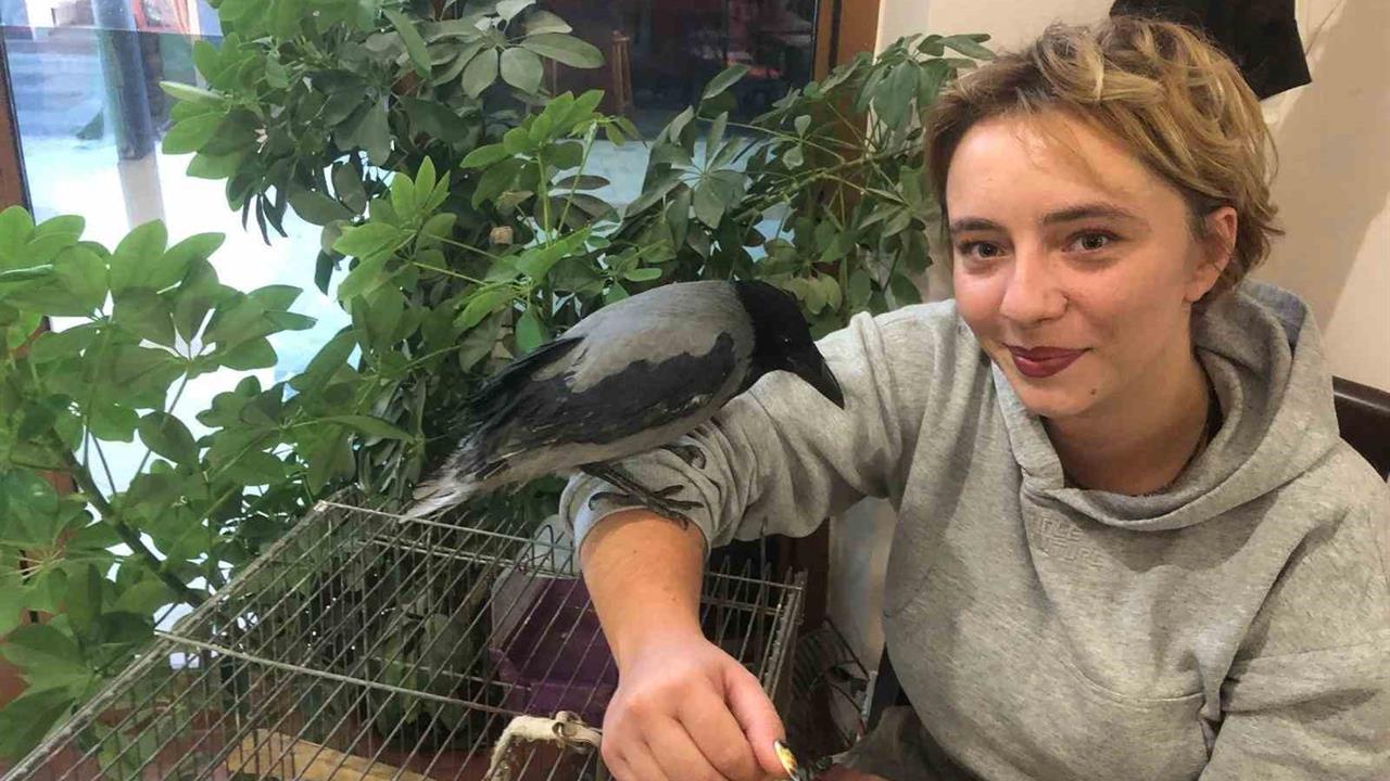 Datça'da Sevimli Karga Rıfkı, Mahallenin Maskotu Oldu