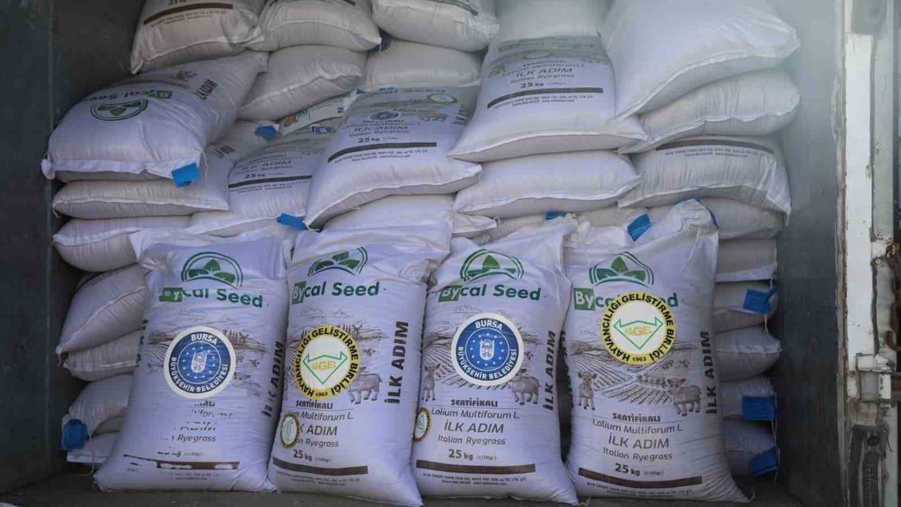 Bursa'da Çiftçilere İtalyan Çimi Desteği Verildi
