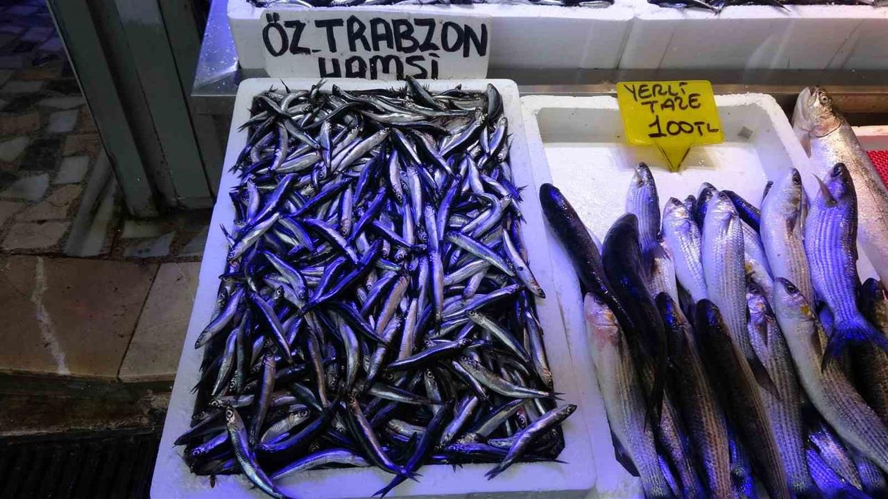 Trabzon'da Hamsi Avı Patlamalarla Azaldı İddiası