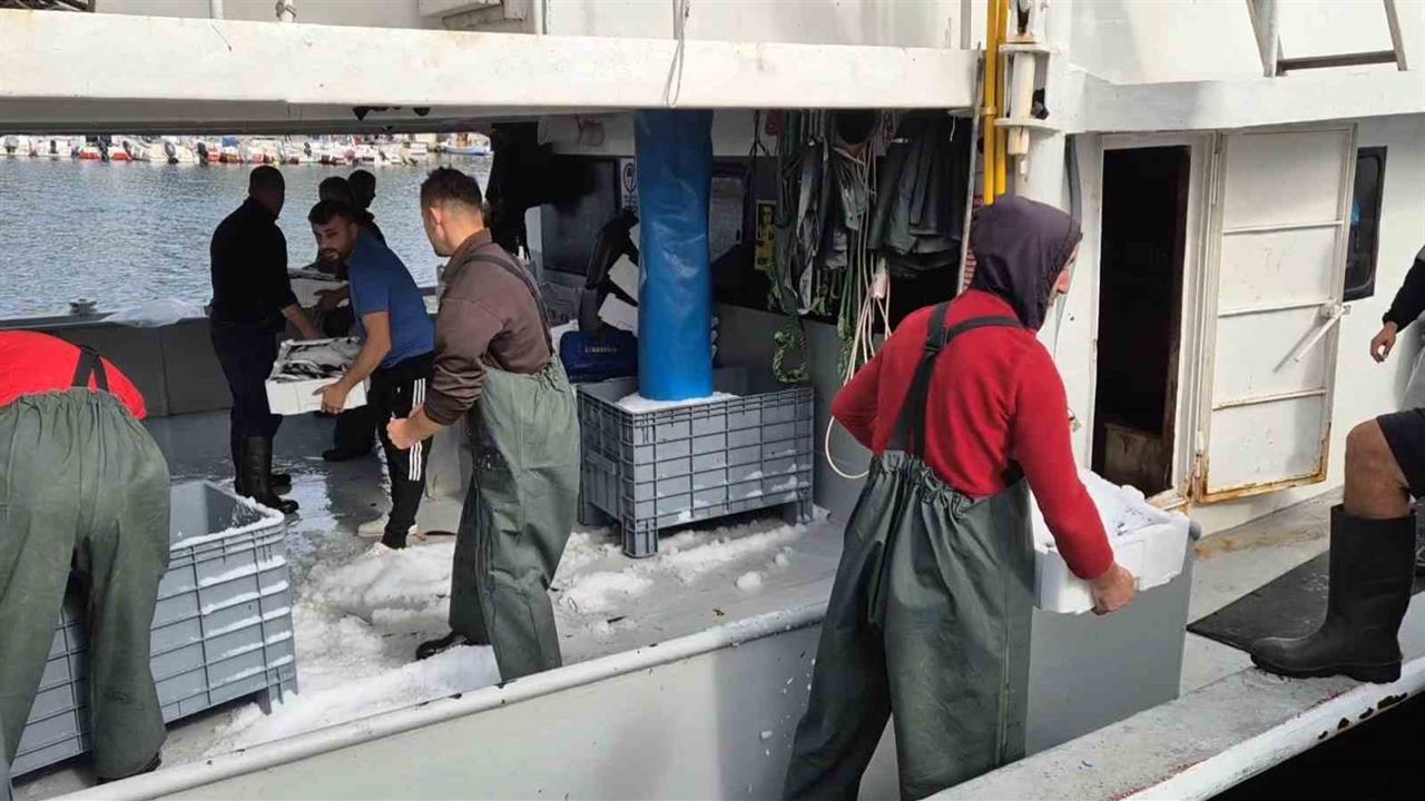 Tekirdağ'da Balıkçıların Yüzü Güldü: Kasa Kasa İstavrit Avlandı