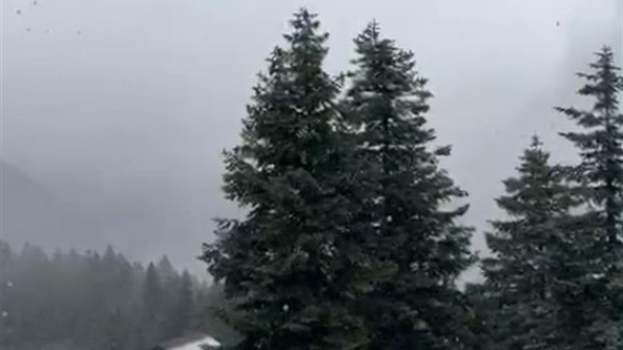 Ilgaz Dağı'nda Kar Yağışı Başladı: Kış Turizmi Canlanıyor