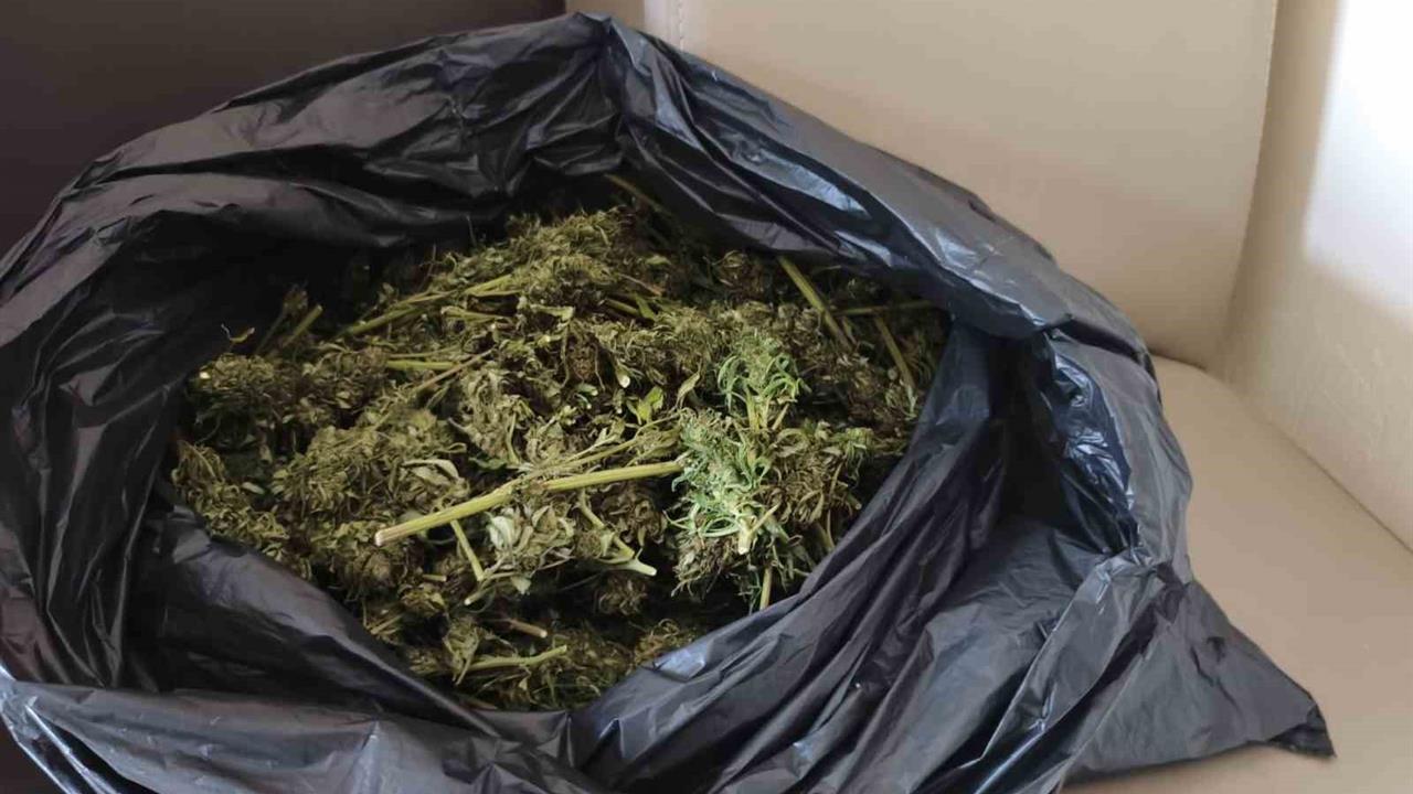 Bursa İnegöl'de Güvercin Kümesinde Uyuşturucu Operasyonu: 2 Kilogram Esrar Ele Geçirildi