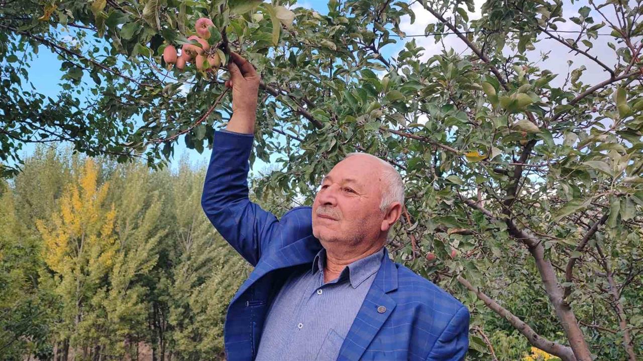 Yozgat'ta İklim Tersine Döndü: Çiftçi Şaşkın