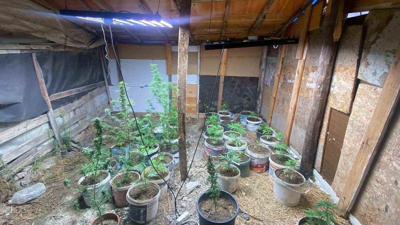 Aydın'da Zahir Tacirlerine Jandarma Operasyonu