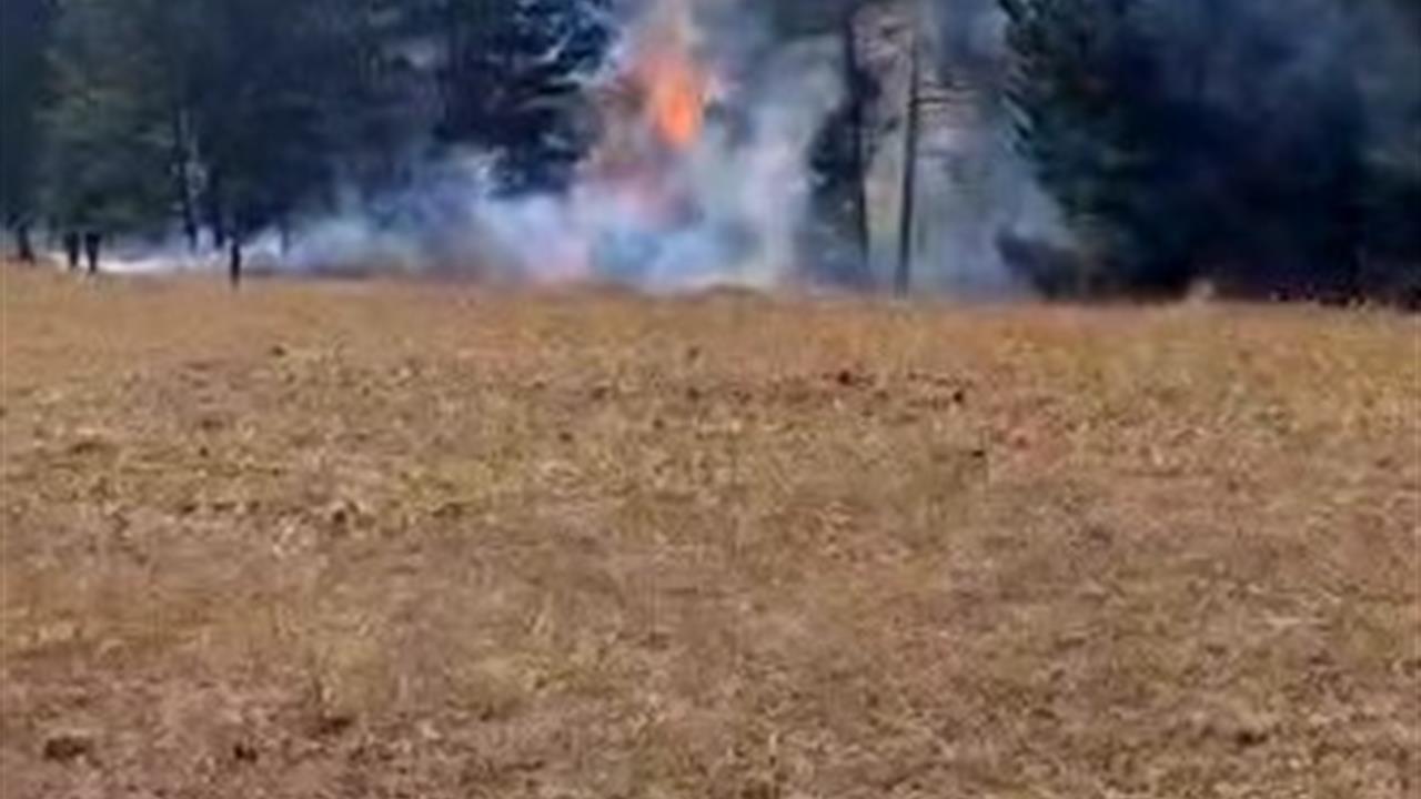 Sarıkamış Ormanlarında Yangın Paniği: Ekipler Hızla Müdahale Etti