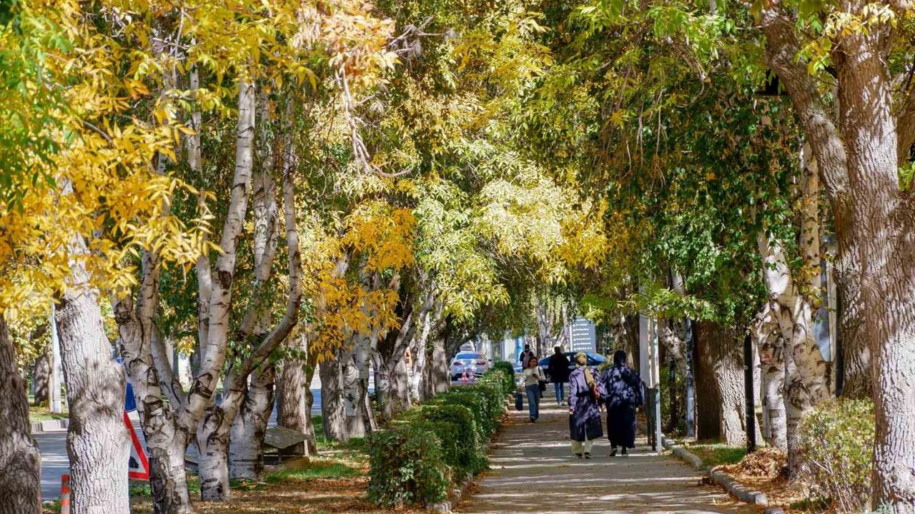 Erzurum'da Kuvvetli Rüzgar ve Kar Yağışı Uyarısı
