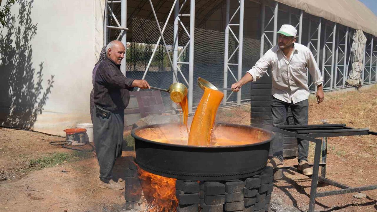 Gaziantep'te Pekmez Üretimi Yoğunlaşmış Durumda