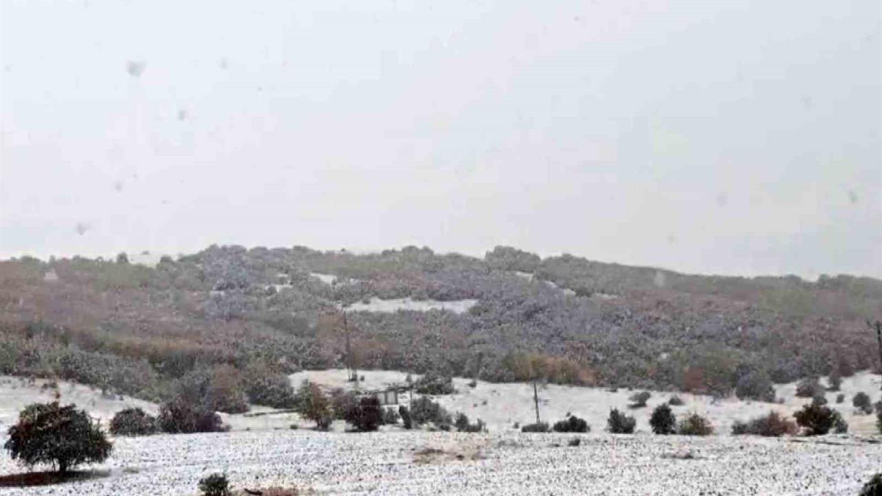 Sivas'ta Kar Yağışı Doğayı Beyaz Örtüyle Kapladı