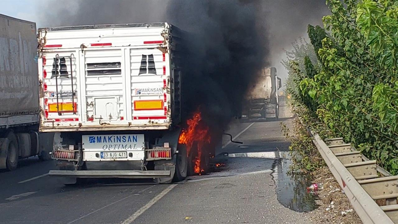 Şanlıurfa'da Tır Yangını: Sürücü Zamanında Müdahale Etti