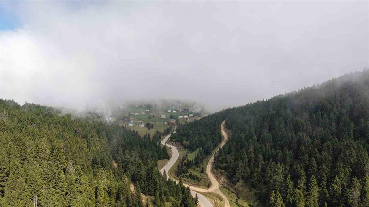 Doğu Karadeniz'de Heyelan Alarmı: Ormanlar Korunmalı
