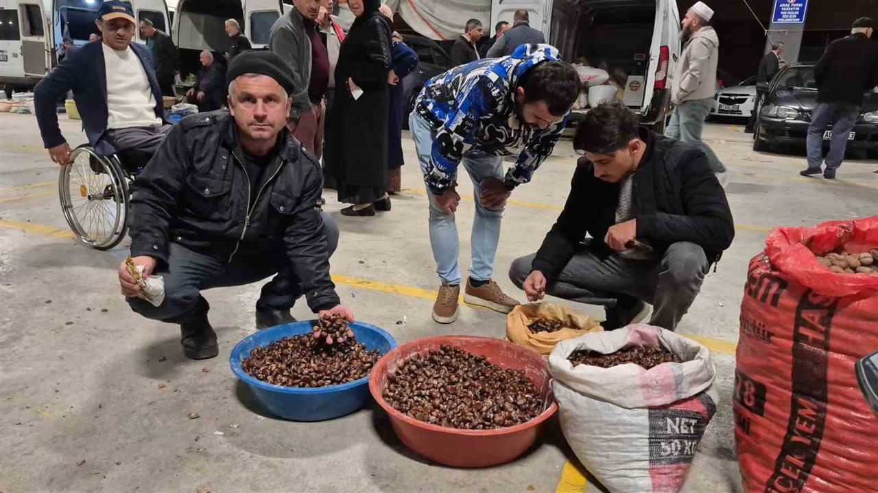 Düzce'de Kestane Pazarı: Yoğun İlgi Var