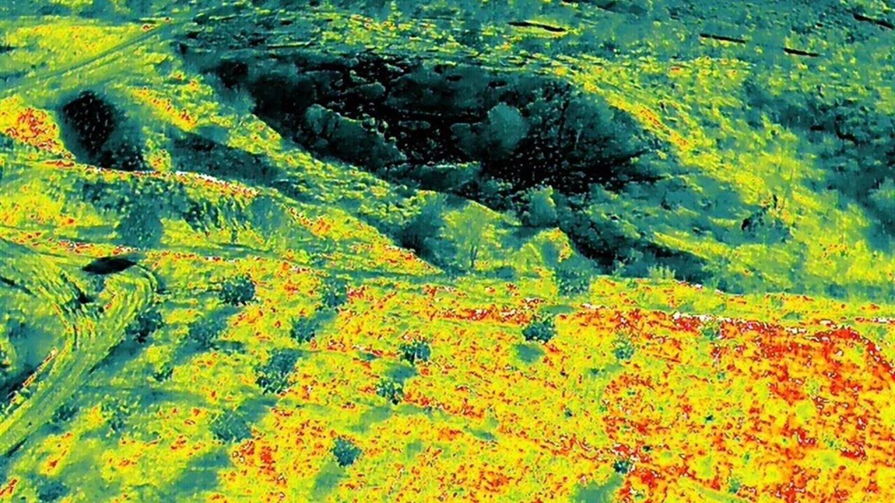 Siirt'te Kayıp Yaşlı Adam İçin Arama Çalışmaları Sürüyor
