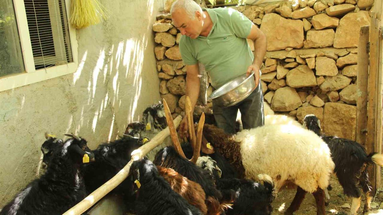 Şırnak'ta Eski Hükümlüye İş-Kur Desteğiyle Yeni Bir Başlangıç