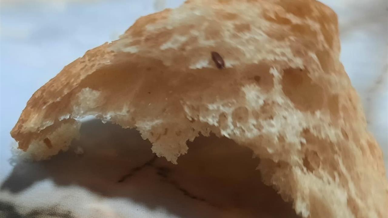 Denizli'de Halk Ekmek'ten Şok: Fare Dışkısı ve Un Kurdu Ortaya Çıktı