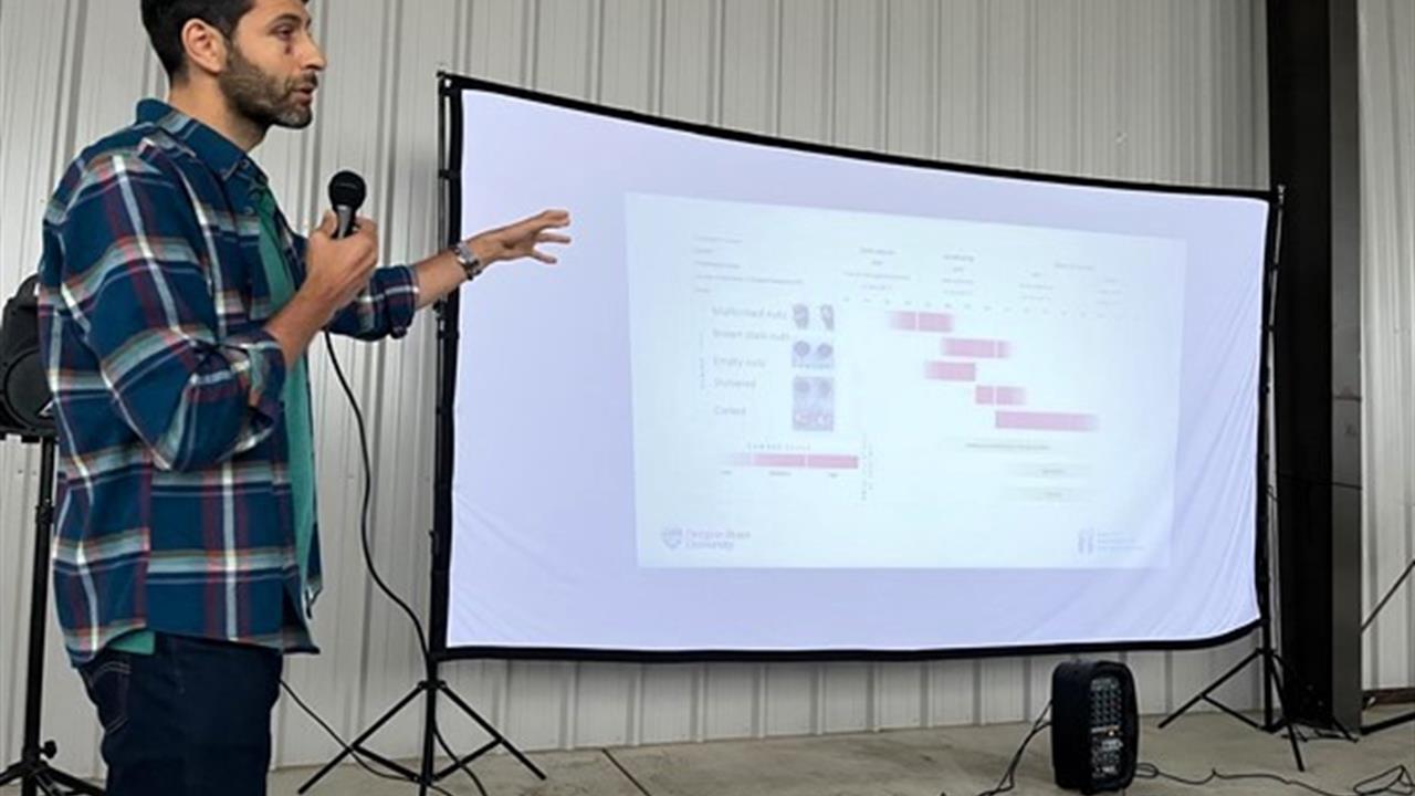 ABD'de Kahverengi Kokarca İle Mücadele Yöntemleri Anlatıldı