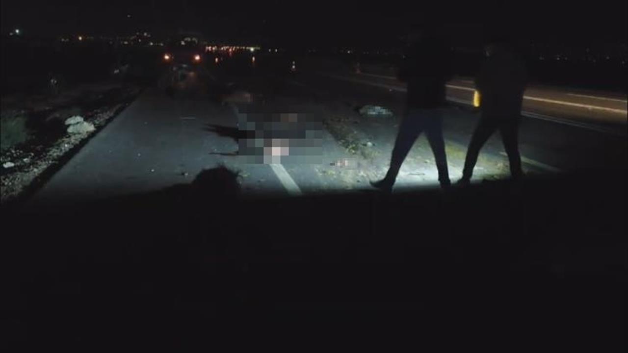 Hatay'da Tır ve Hafif Ticari Araç Hayvan Sürüsüne Çarptı: 37 Hayvan Telef Oldu