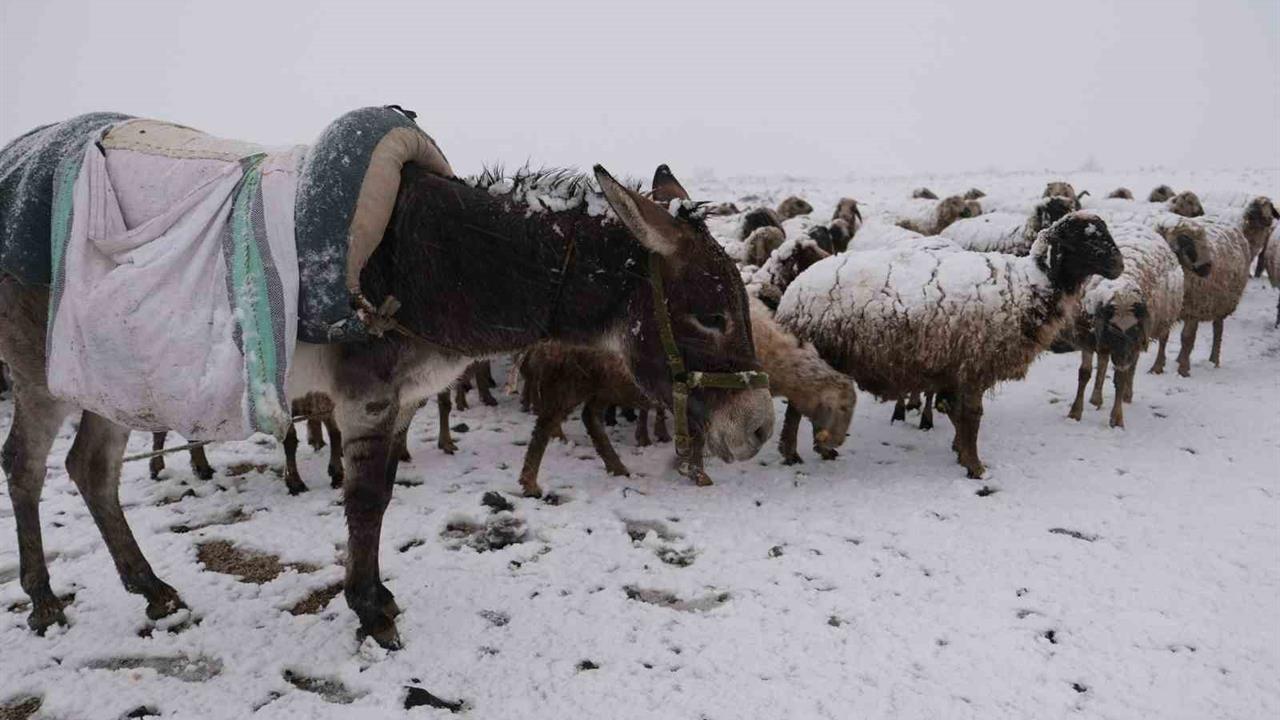 Erzincan'da Göçerler Kar Yağışına Yakalandı