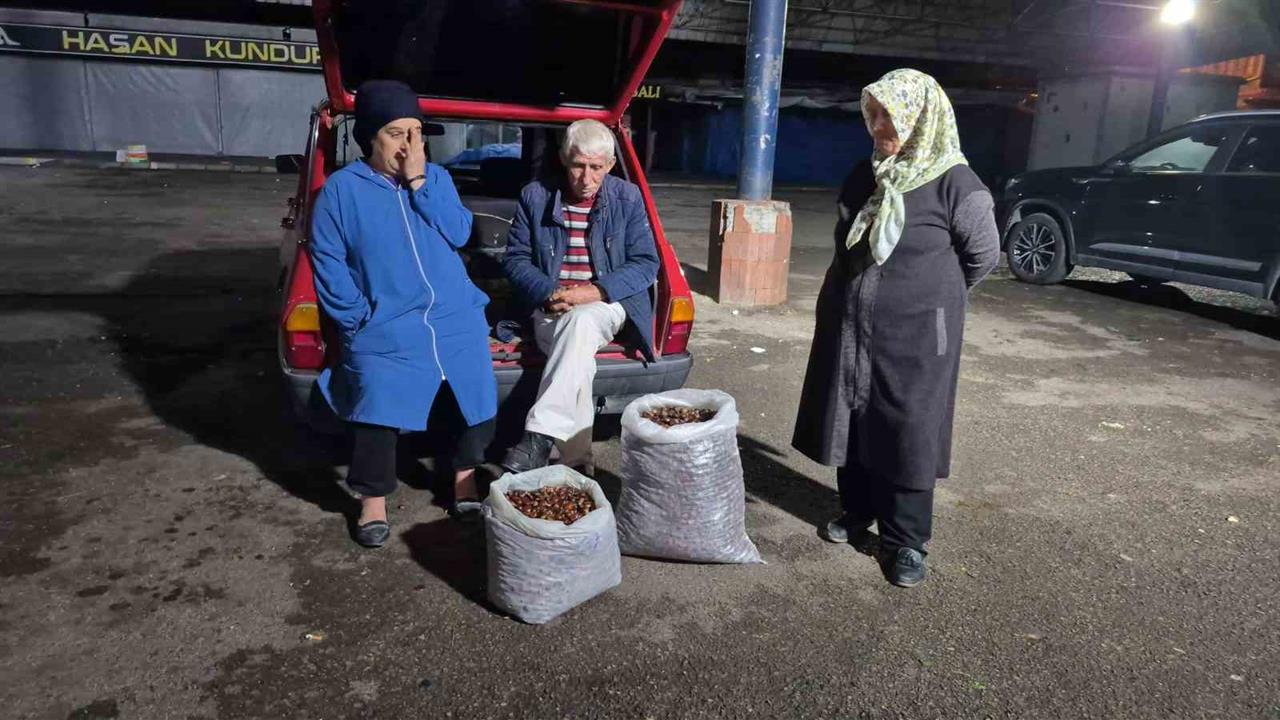 Bartın'da Kestane Rekoltesi Kuraklık Nedeniyle Düşüşte