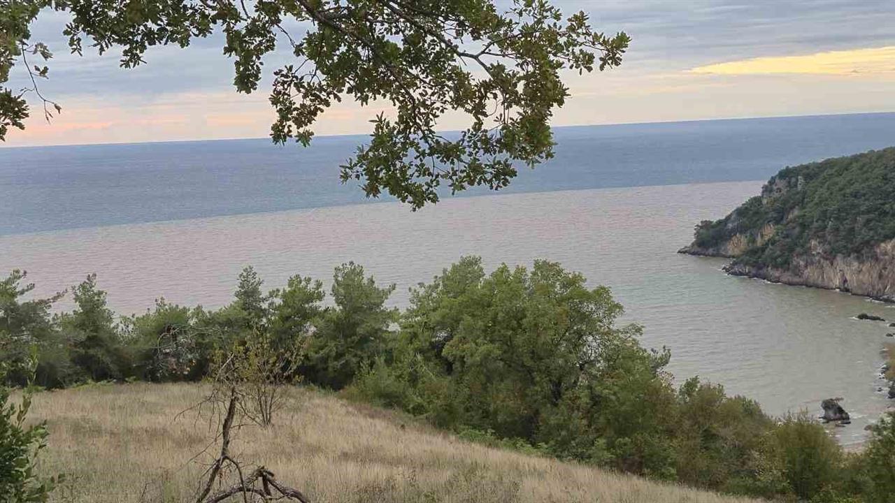 Bartın'da Denizin Rengi Değişti, Plaja Tıbbi Atıklar Vurdu