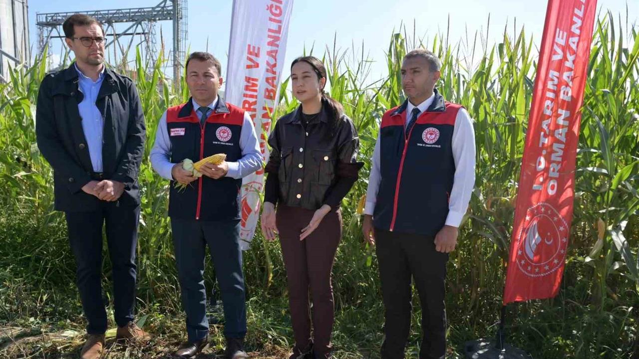 Denizli'de Organik Tarım Uygulamaları Yaygınlaşıyor