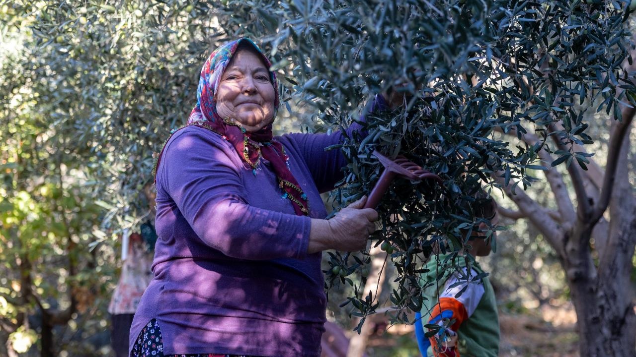 Tarlada İzi Olan Kadınların Büyükşehir İle Yüzü Gülüyor